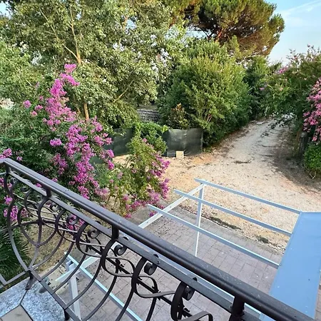 Lavender Near Venice Airport Apartment Favaro Veneto