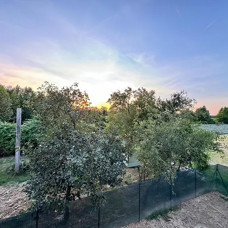 Lavender Near Venice Airport * Favaro Veneto