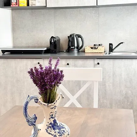 Lavender Near Venice Airport Apartment Favaro Veneto