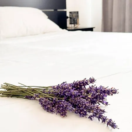 Appartamento Lavender Near Venice Airport