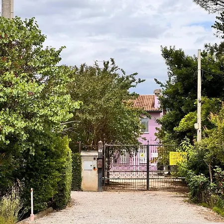 Lavender Near Venice Airport Favaro Veneto