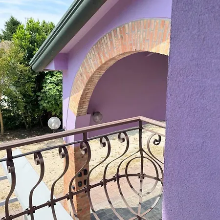 Lavender Near Venice Airport *