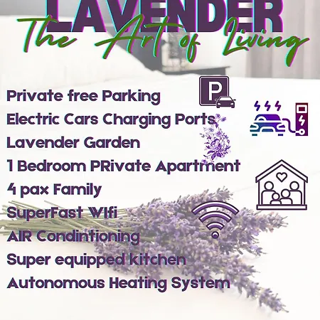 Lavender Near Venice Airport