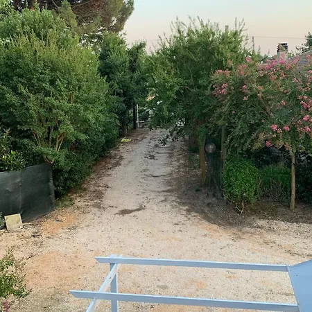 Lavender Near Venice Airport