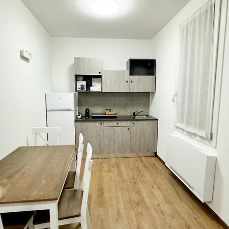 Lavender Near Venice Airport