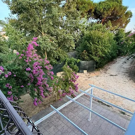Appartamento Lavender Near Venice Airport *
