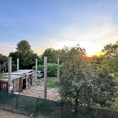 Lavender Near Venice Airport Favaro Veneto