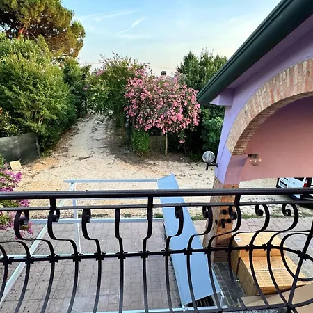 Apartment Lavender Near Venice Airport