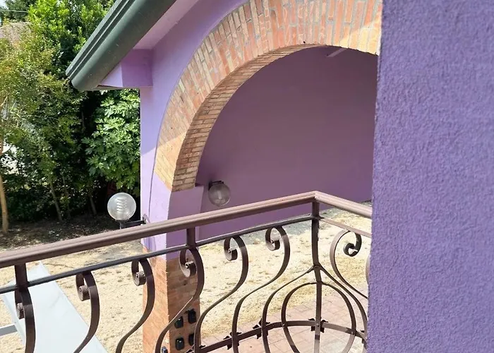 Lavender Near Venice Airport *