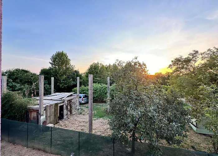 Lavender Near Venice Airport Favaro Veneto