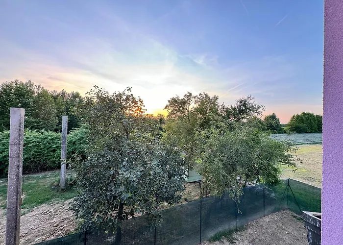 Lavender Near Venice Airport * Favaro Veneto